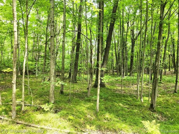 000 Red Fox Run, Lincoln Twp, MI 48622