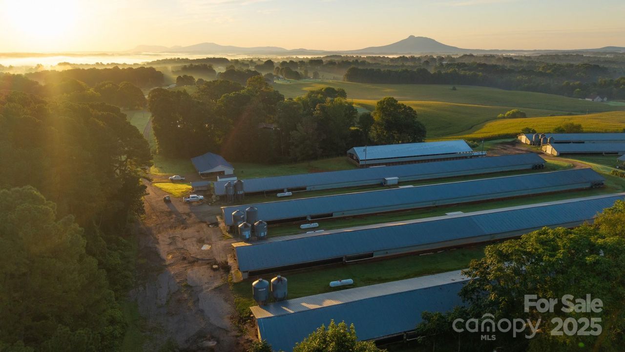 167 Buck Hollow Trail, Ararat, NC 27007 Main Photo