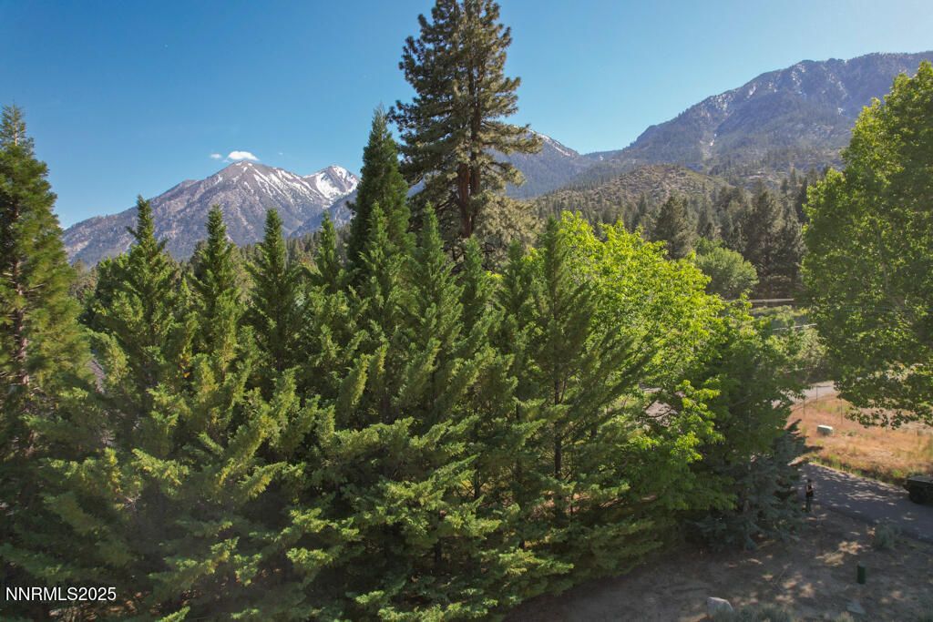 1147 Autumn Hills Road, Gardnerville, NV 89460 Photo