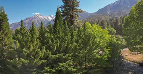 1147 Autumn Hills Road, Gardnerville, NV 89460 Photo