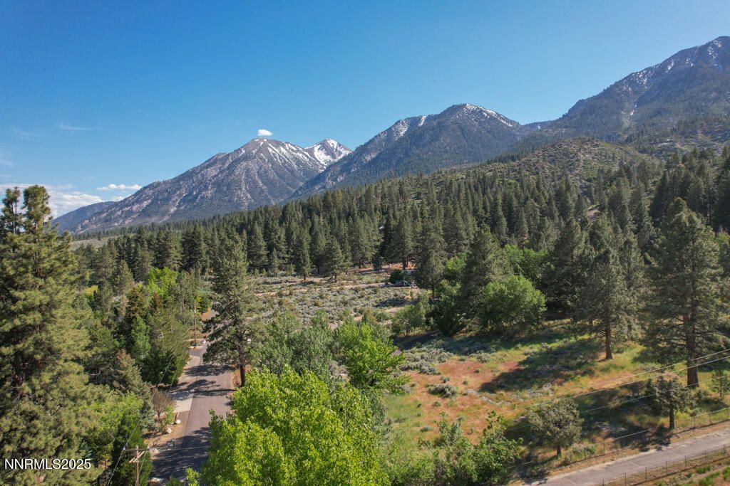 1147 Autumn Hills Road, Gardnerville, NV 89460 Photo