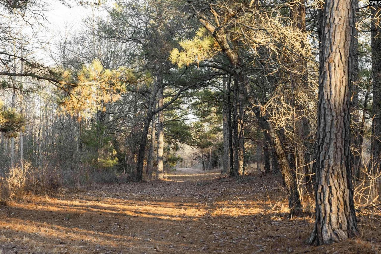 Lot 18 Hound Hollow Road Photo 5