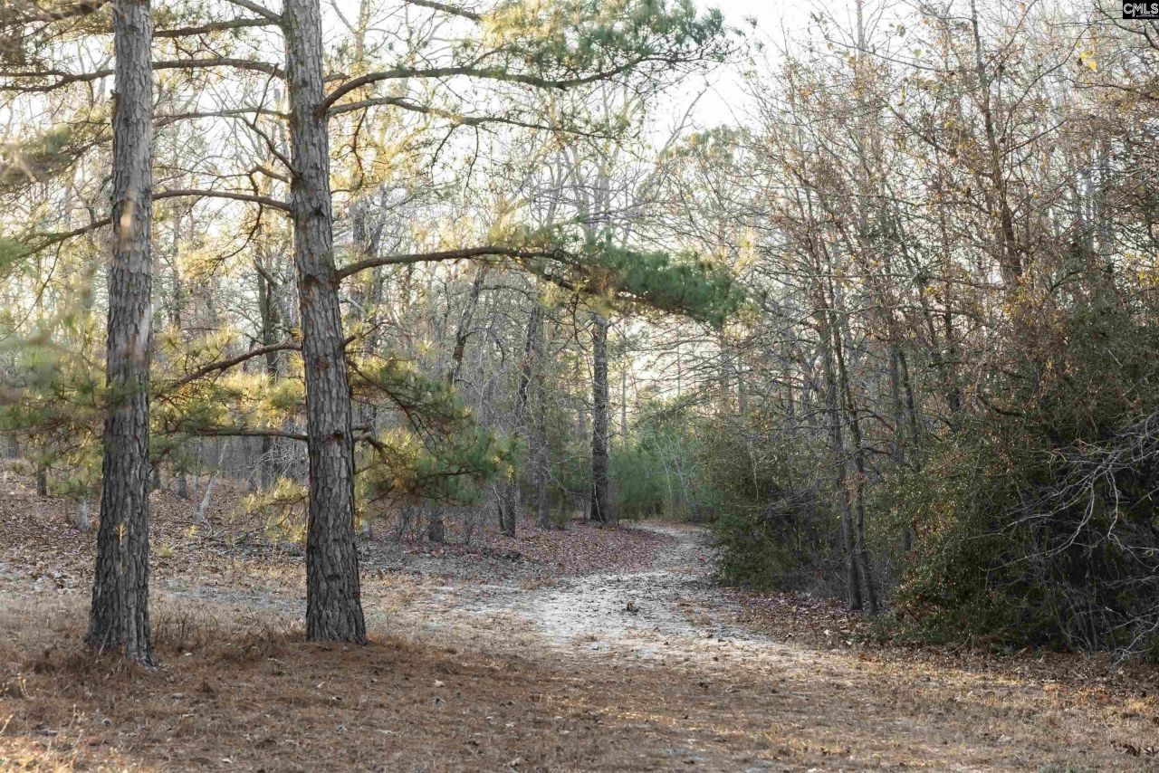 Lot 18 Hound Hollow Road Photo 9