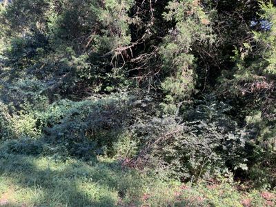 123 Dawsey Street, Cordova, SC 29039