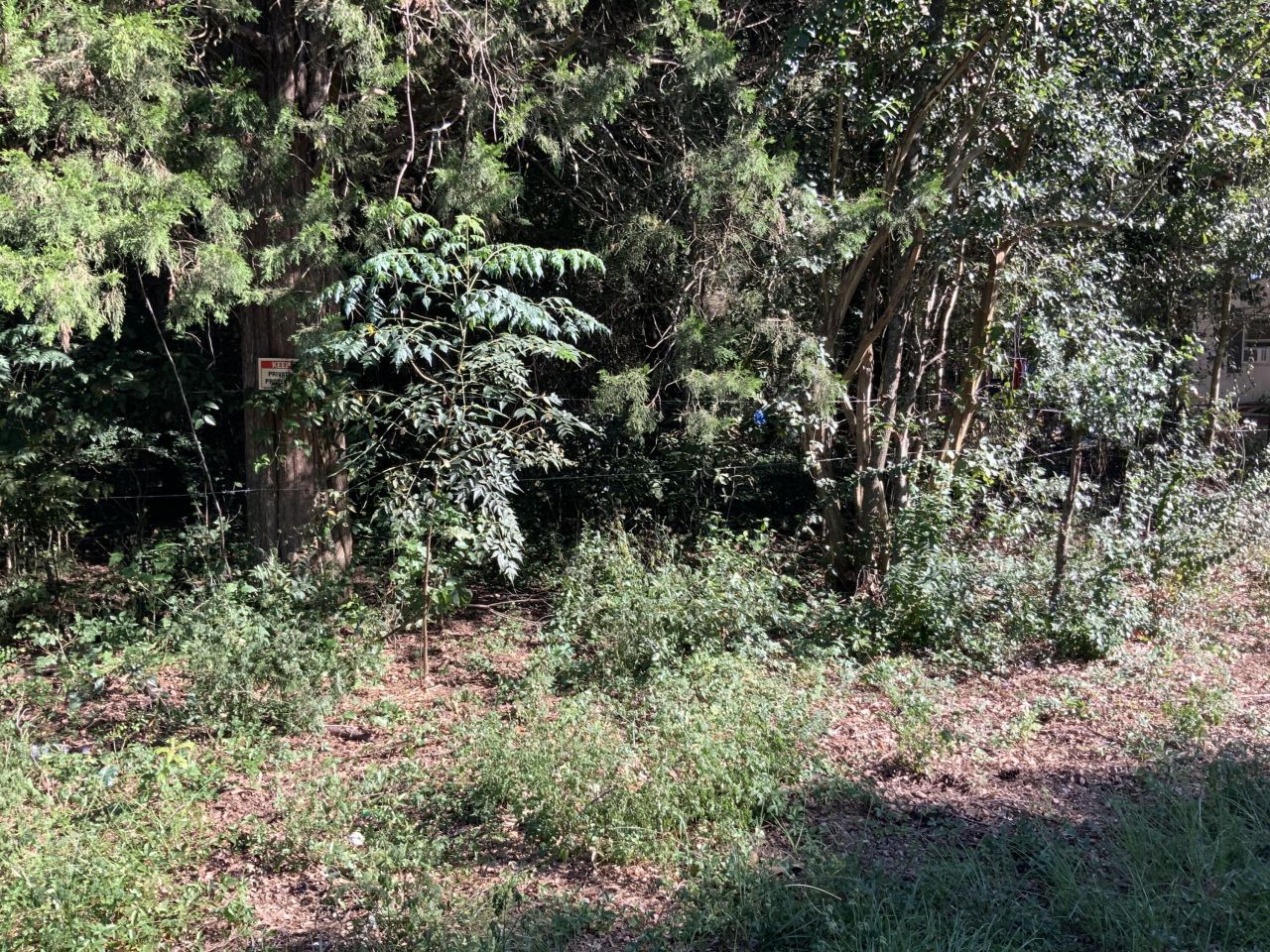 123 Dawsey Street Photo 10