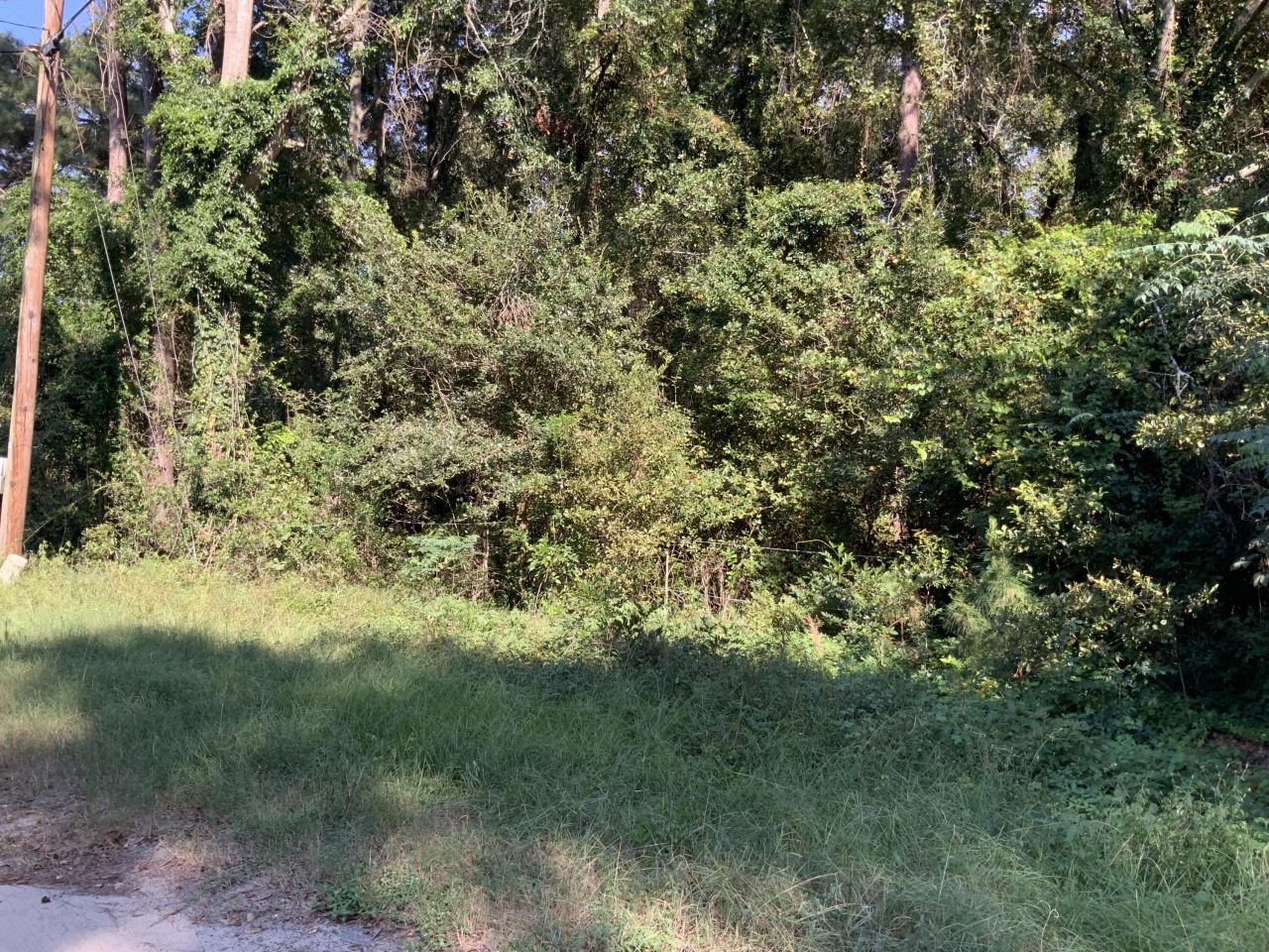 123 Dawsey Street Photo 14