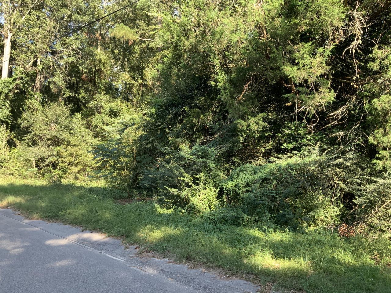 123 Dawsey Street Photo 17