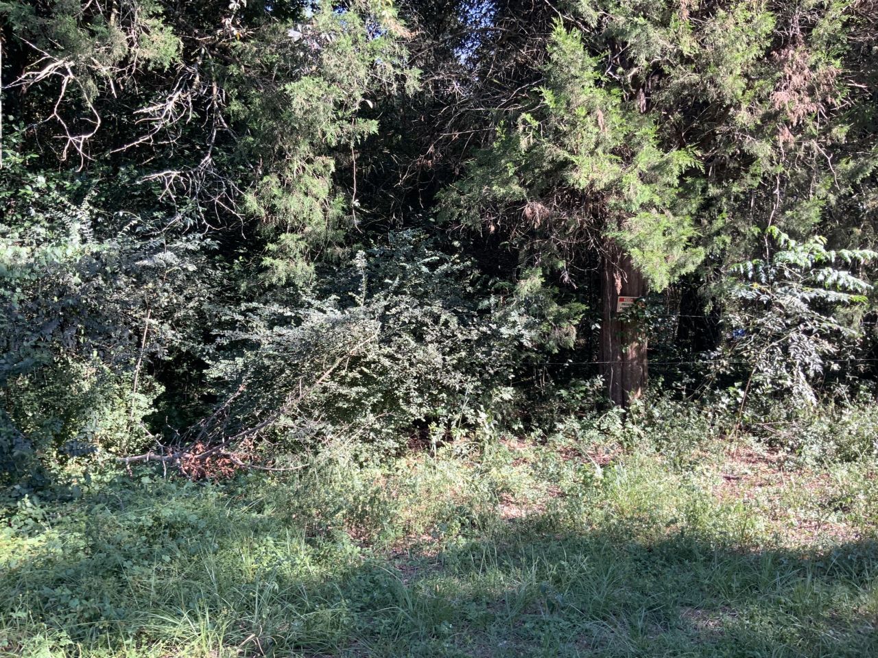 123 Dawsey Street Photo 18