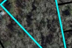 123 Dawsey Street photo 4