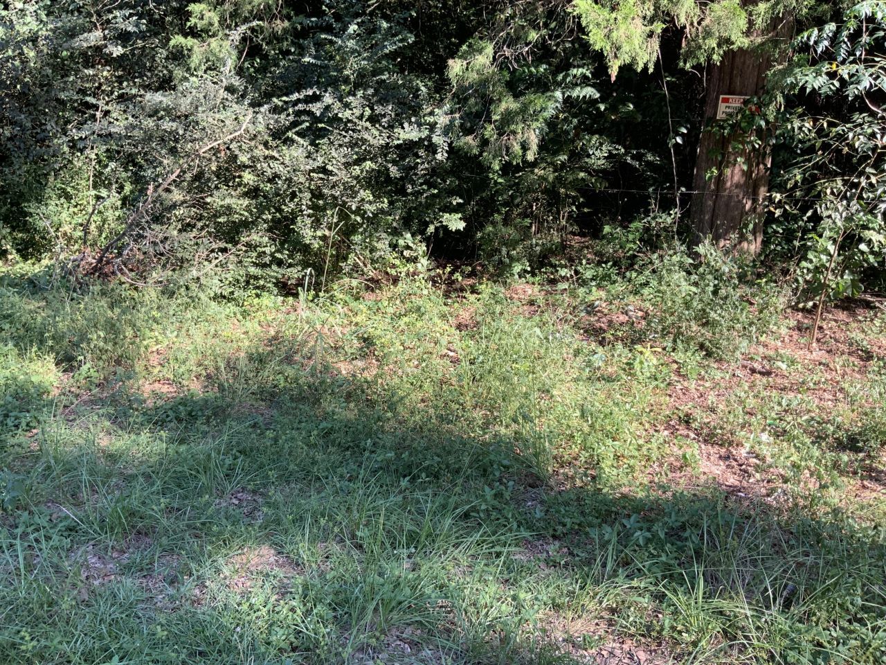 123 Dawsey Street Photo 4