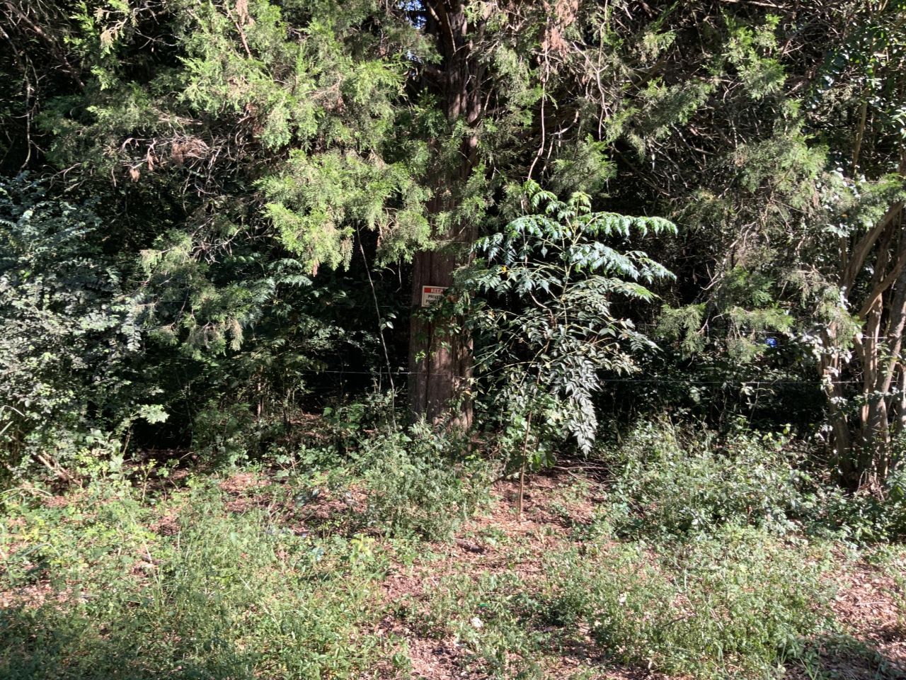 123 Dawsey Street Photo 5