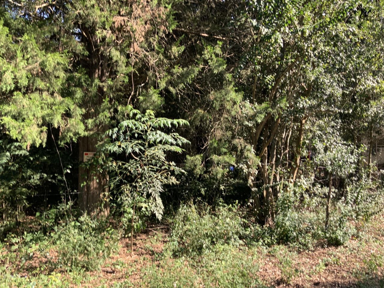 123 Dawsey Street Photo 7