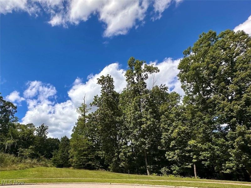 Hidden Canyon Drive, Brecksville, OH 44141 Photo 2