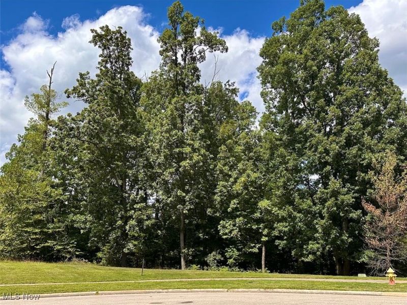 Hidden Canyon Drive, Brecksville, OH 44141 Photo 3