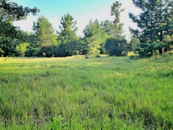 Parcel B HWY 177A, Bonifay, FL 32425