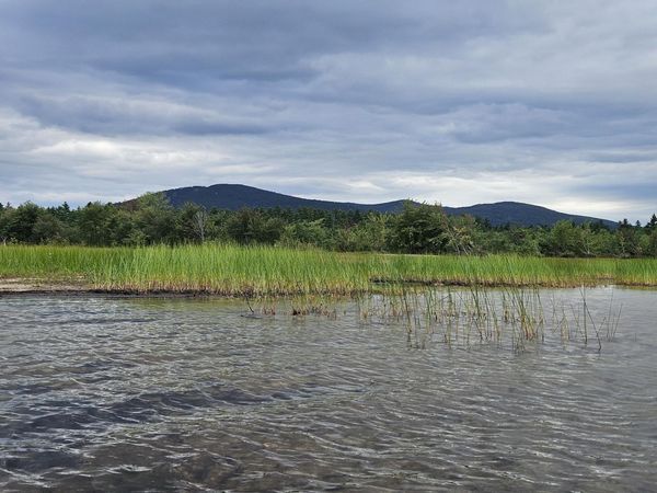Map20Lot19 Carter Hill Road, Fryeburg, ME 04037