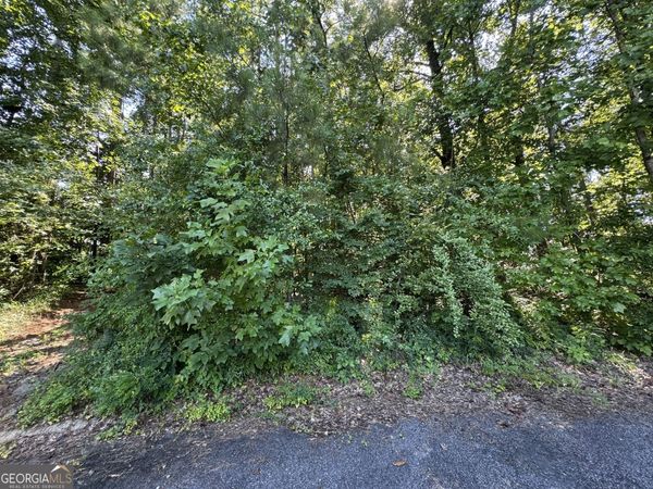 202 Cambridge Way, Macon, GA 31220