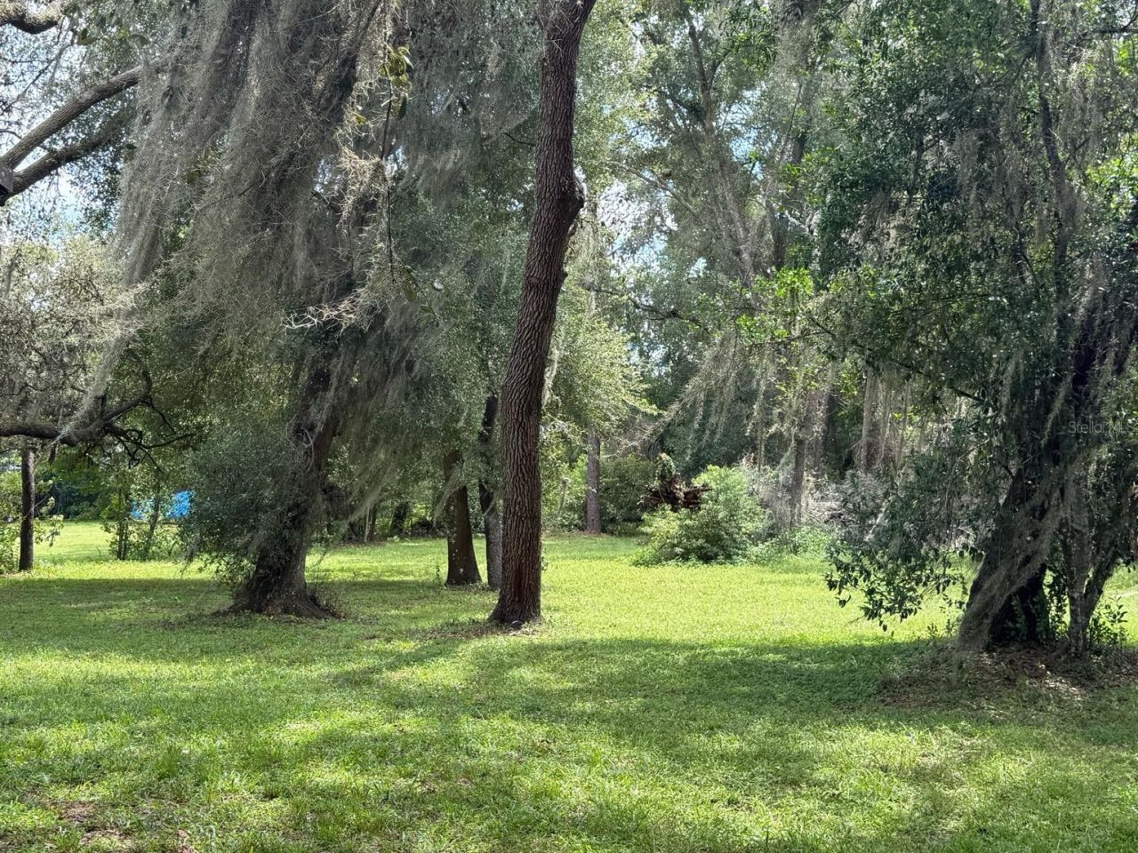 33248 Ridge Manor Boulevard, Dade City, FL 33523 Photo