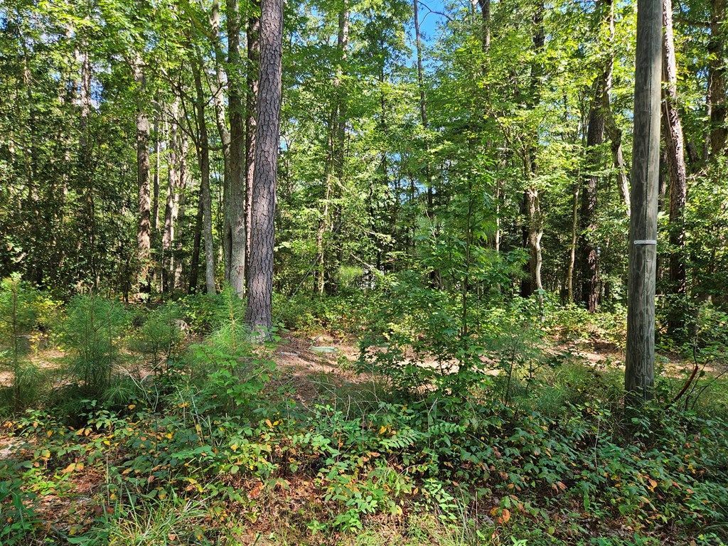 8-9 Hazel Drive, Hague, VA 22469 Main Photo