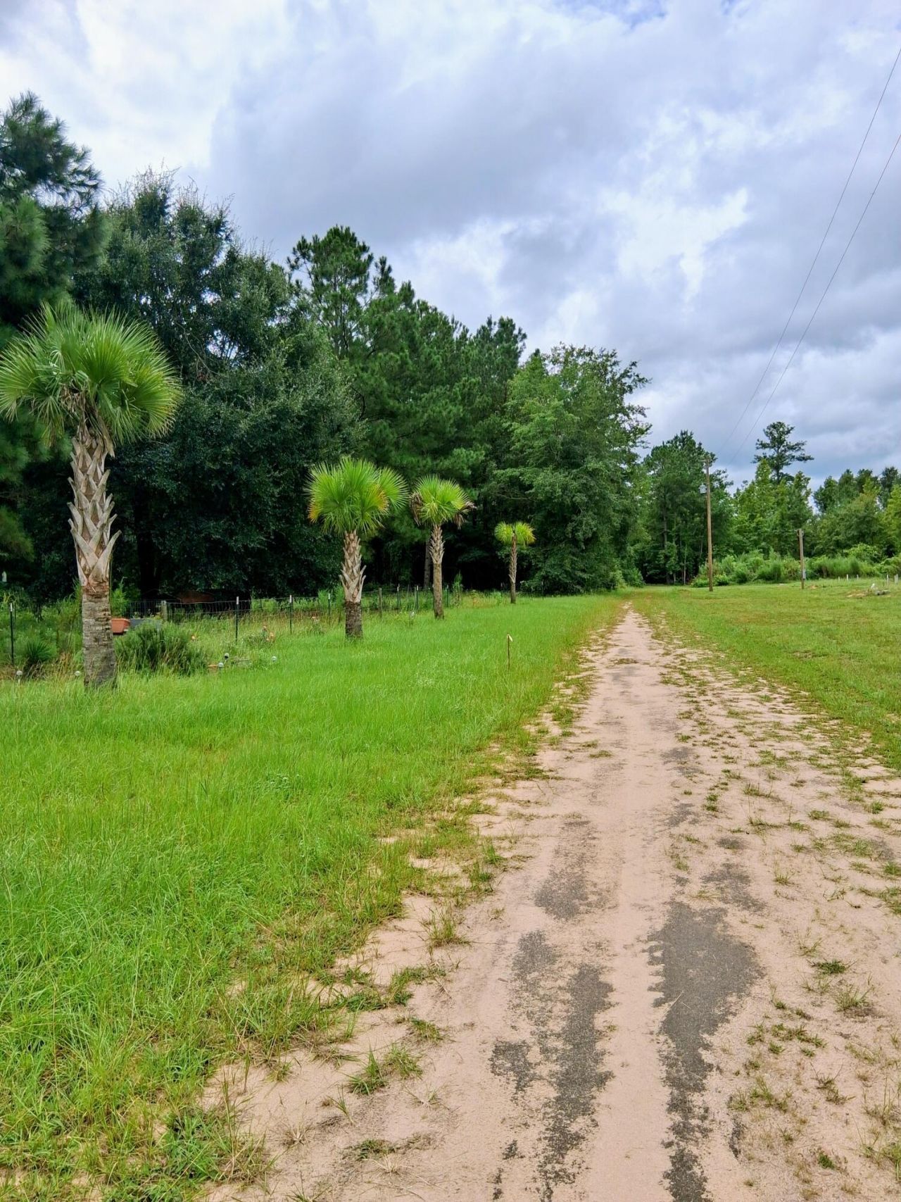 36 Youmans Lane Photo 10