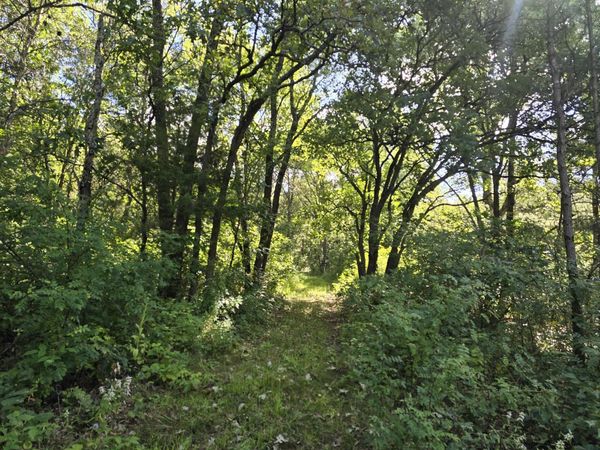 0 State Highway 27 -, Little Falls, WI 54656