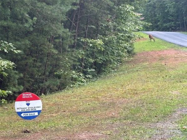 lots 11/12 South Pointe Road , Mill Spring, NC 28756