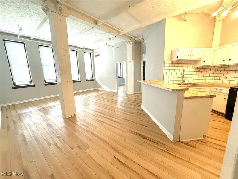 1133 W 9th Street, Unit 202, Cleveland, OH 44113 Photo 3