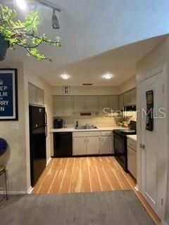 5020 Beach Drive Se, Unit D, Saint Petersburg, FL 33705 Photo