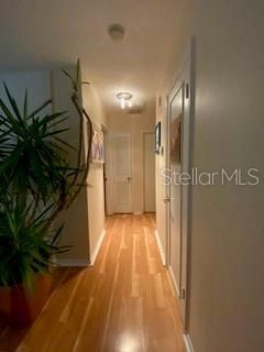 5020 Beach Drive Se, Unit D, Saint Petersburg, FL 33705 Photo