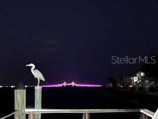 5020 Beach Drive Se, Unit D, Saint Petersburg, FL 33705 Photo