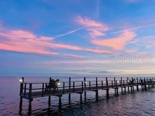 5020 Beach Drive Se, Unit D, Saint Petersburg, FL 33705 Photo