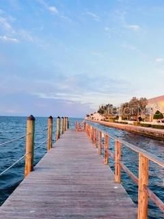 5020 Beach Drive Se, Unit D, Saint Petersburg, FL 33705 Photo