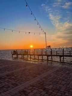 5020 Beach Drive Se, Unit D, Saint Petersburg, FL 33705 Photo