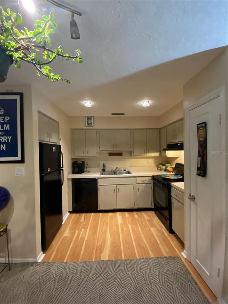 5020 Beach Drive Se, Unit D, Saint Petersburg, FL 33705 Photo
