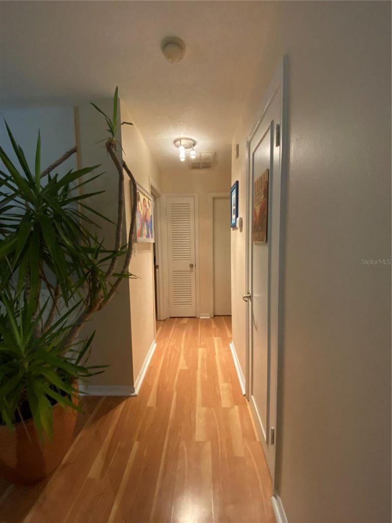 5020 Beach Drive Se, Unit D, Saint Petersburg, FL 33705 Photo