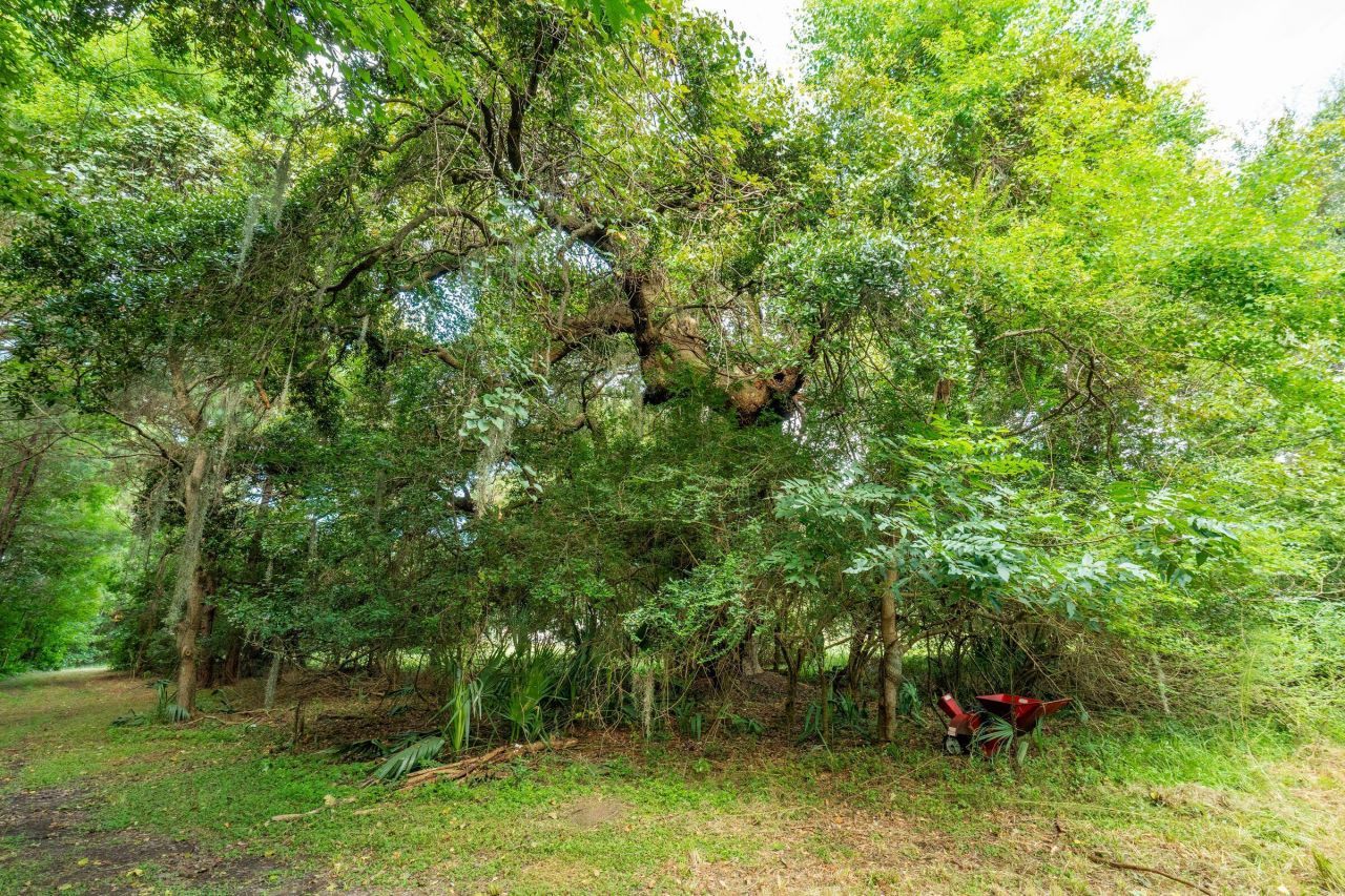 6412 China Back Lane Photo 20