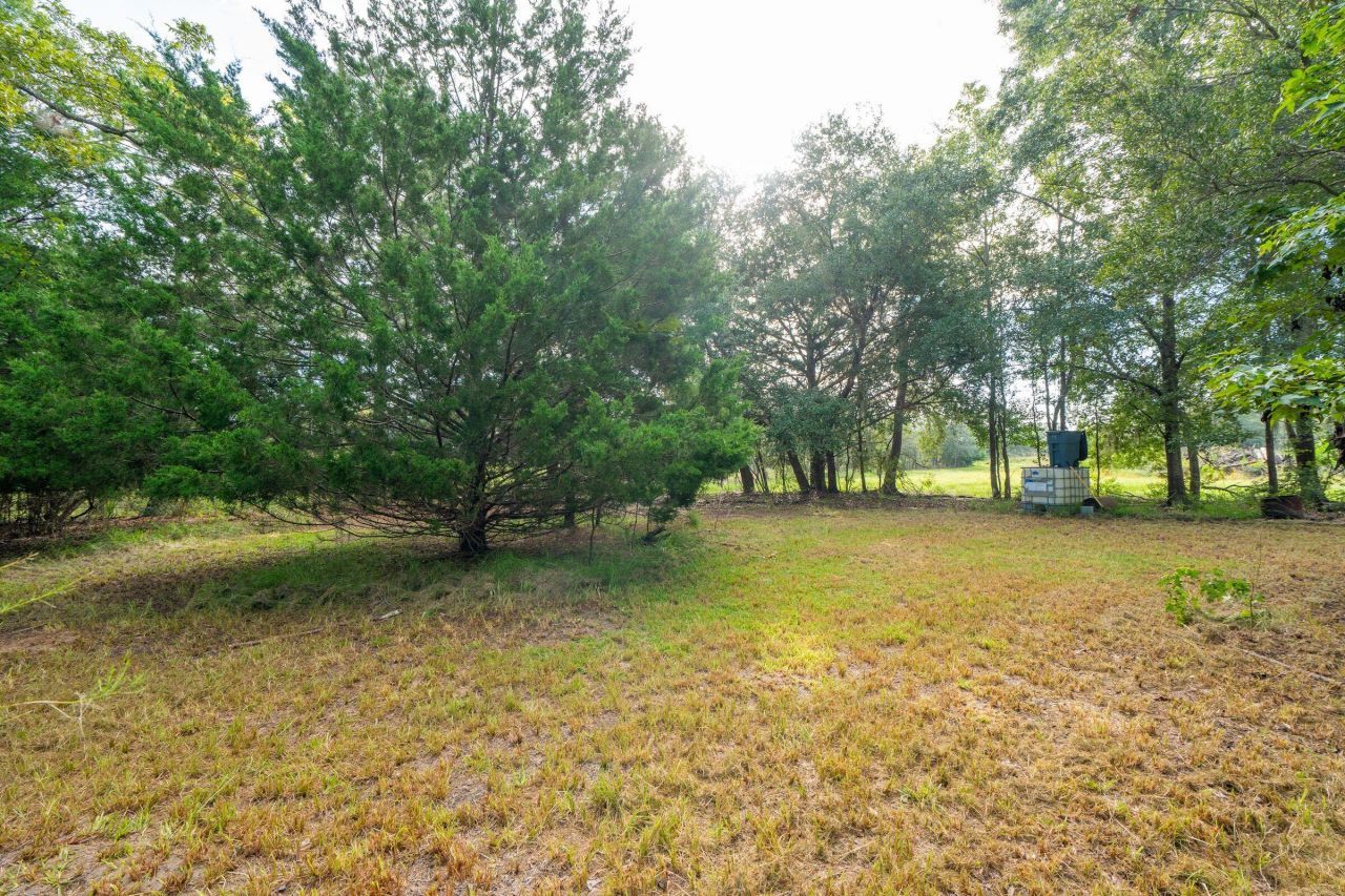 6412 China Back Lane Photo 21