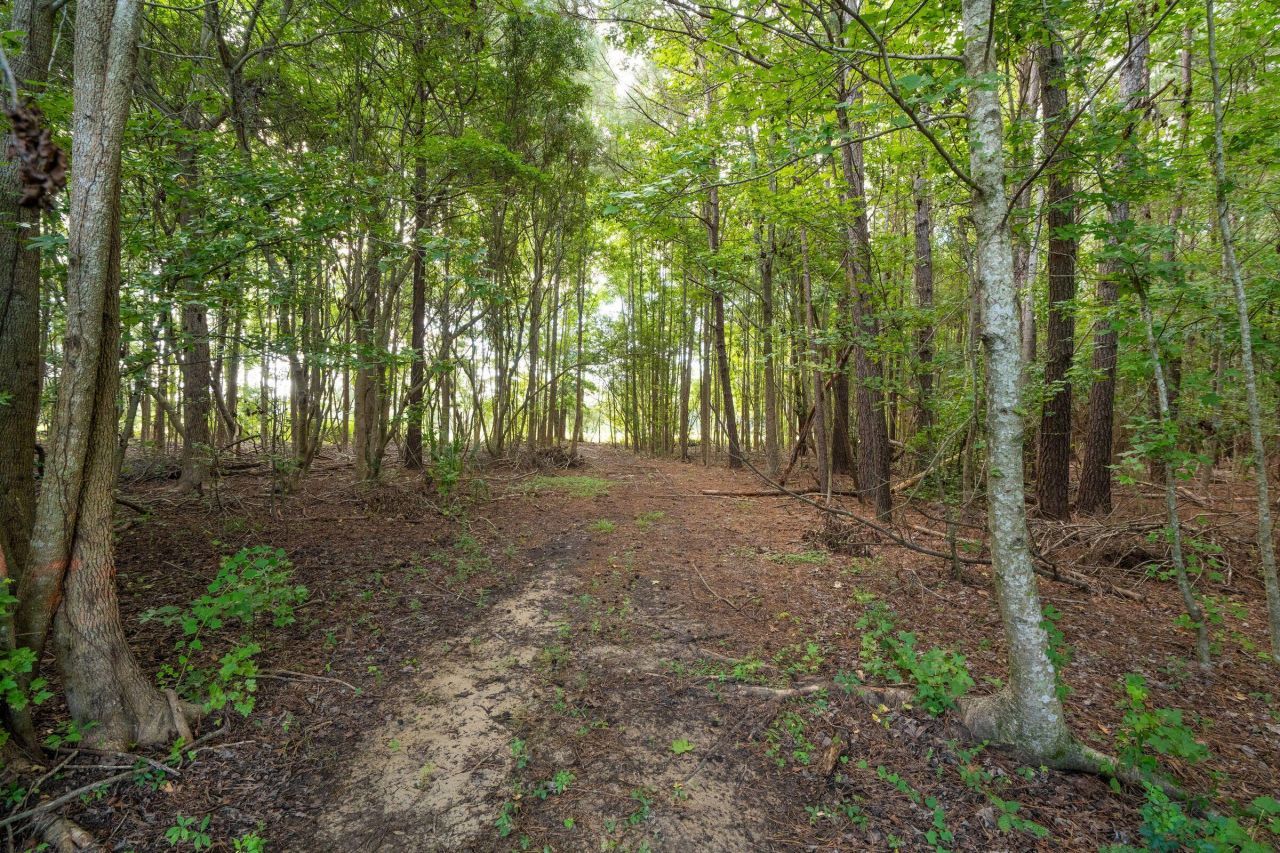 6412 China Back Lane Photo 22