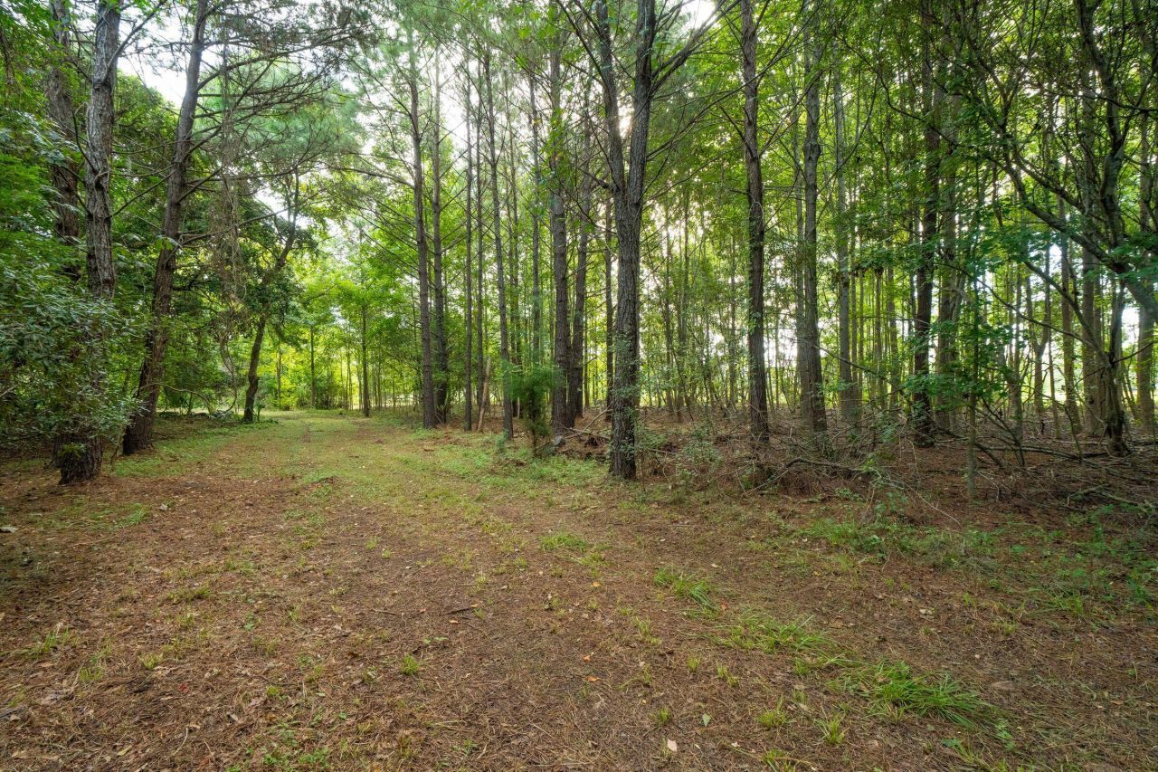 6412 China Back Lane Photo 23