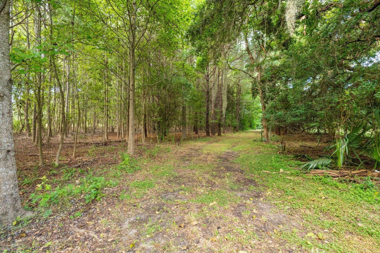 6412 China Back Lane Photo 24