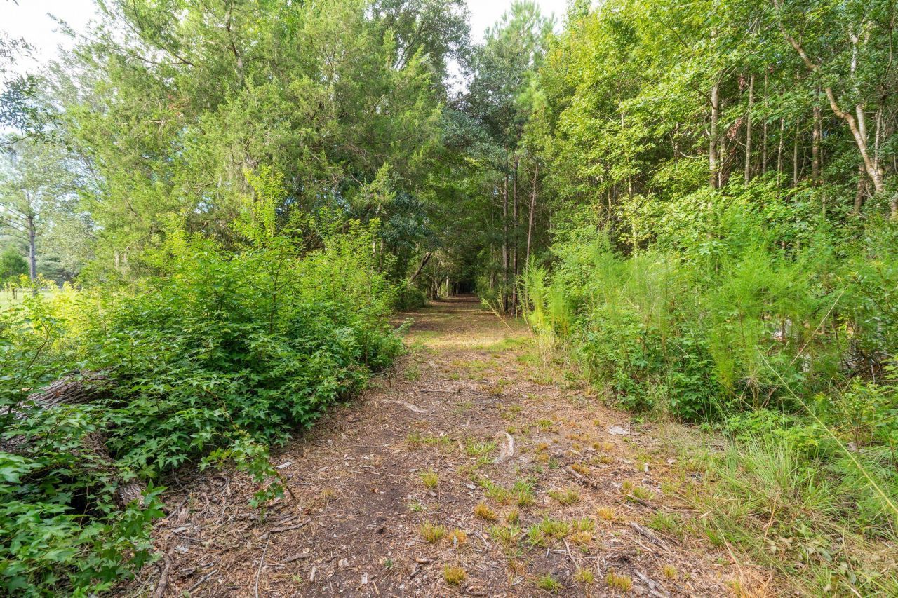 6412 China Back Lane Photo 25