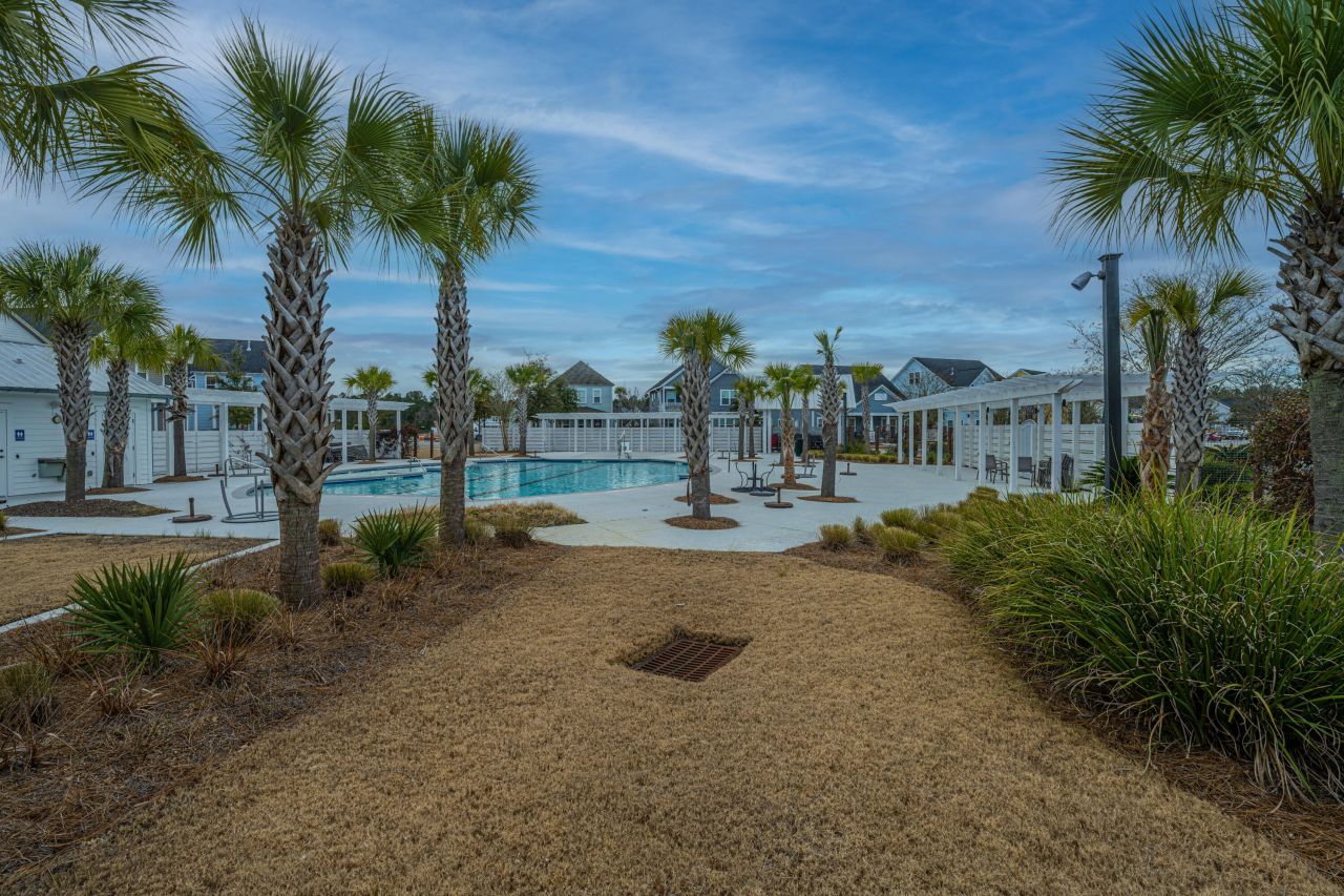 115 Swaying Palm Drive Photo 42