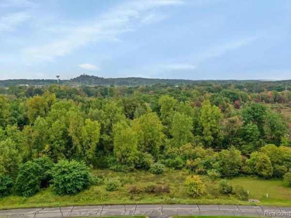 6095 Whispering Meadows Drive, White Lake Twp, MI 48383