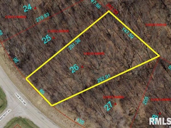 6026 OAK RUN Drive, Dahinda, IL 61428