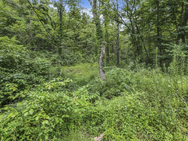 0 Greens Run Road, Glouster, OH 45732 Photo 100