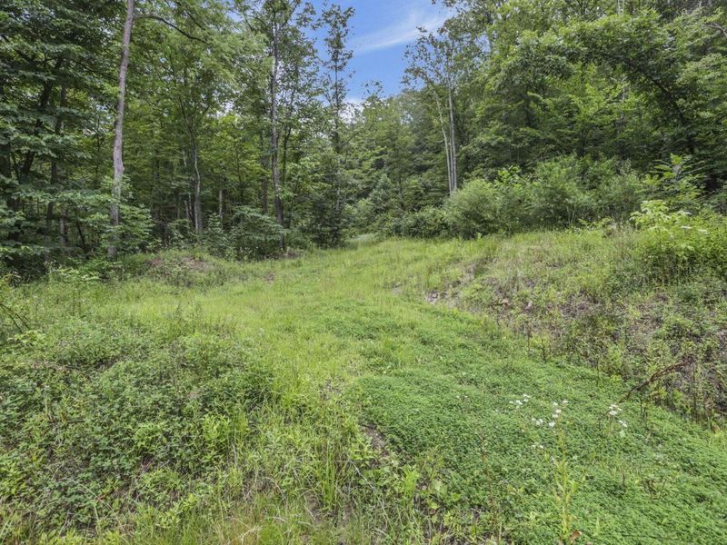 0 Greens Run Road, Glouster, OH 45732 Photo 101