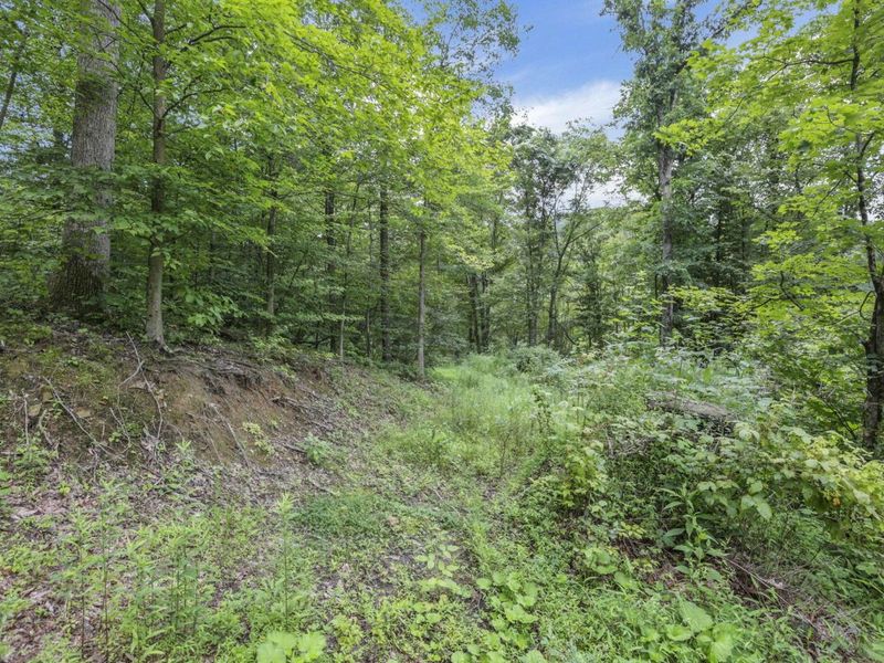 0 Greens Run Road, Glouster, OH 45732 Photo 111