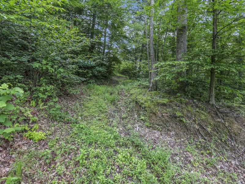 0 Greens Run Road, Glouster, OH 45732 Photo 112