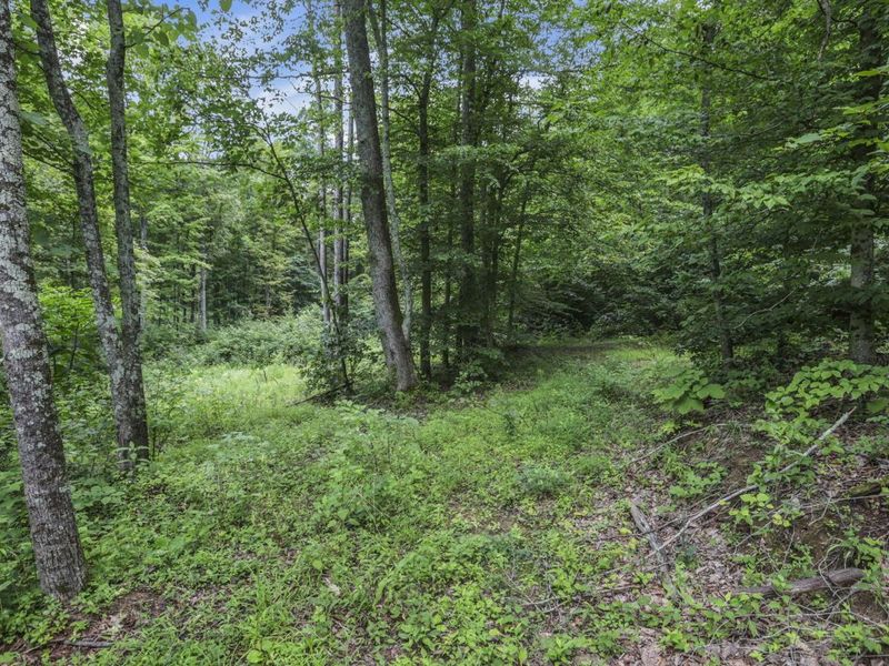 0 Greens Run Road, Glouster, OH 45732 Photo 114