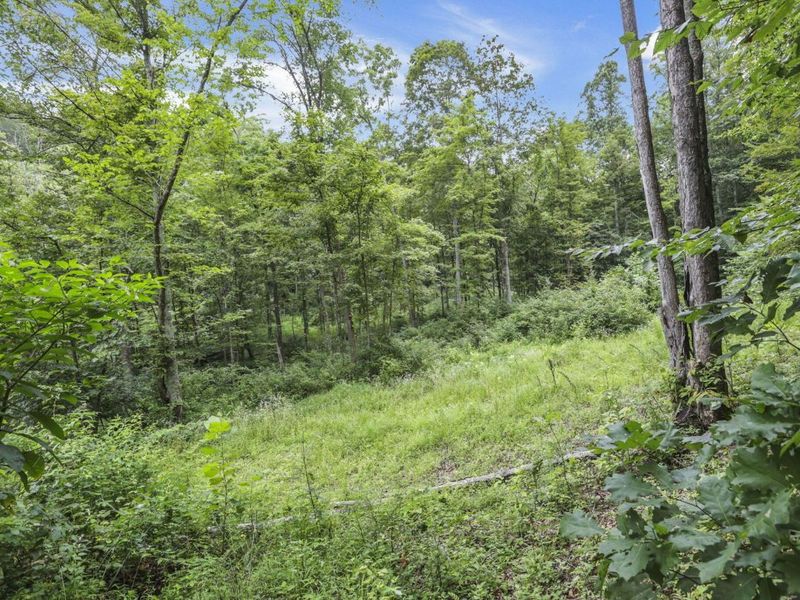 0 Greens Run Road, Glouster, OH 45732 Photo 115